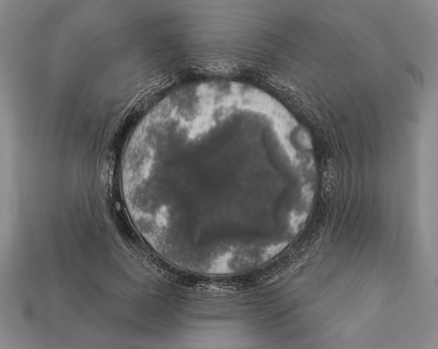 X0000112910739200909211030