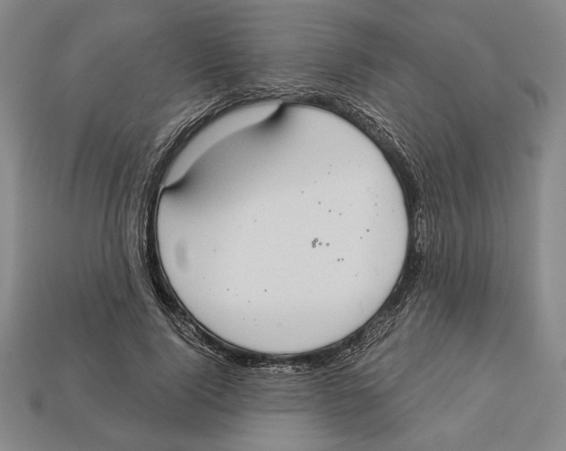 X0000112910740200909211030
