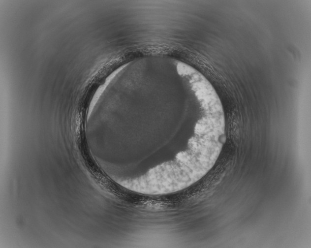 X0000112910742200909211031