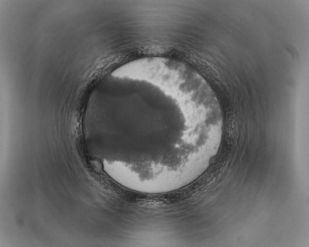 X0000112910743200909211031