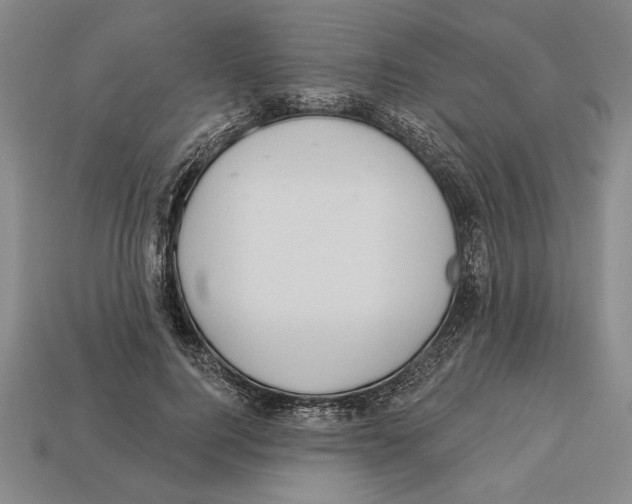 X0000112910744200909211031