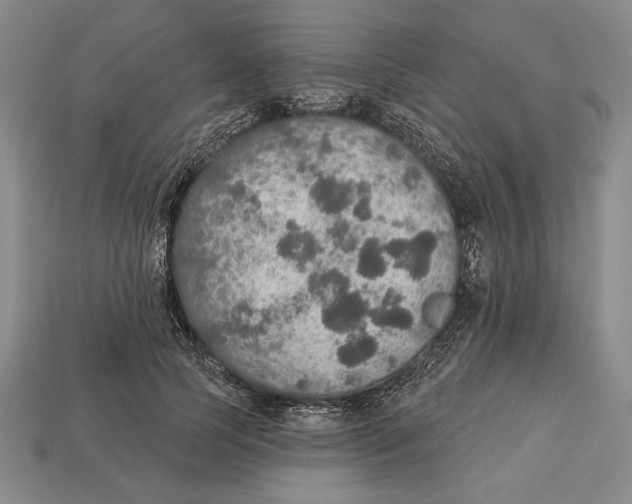 X0000112910745200909211031