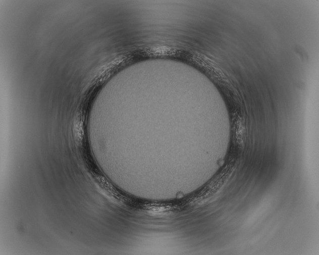 X0000112910746200909211031