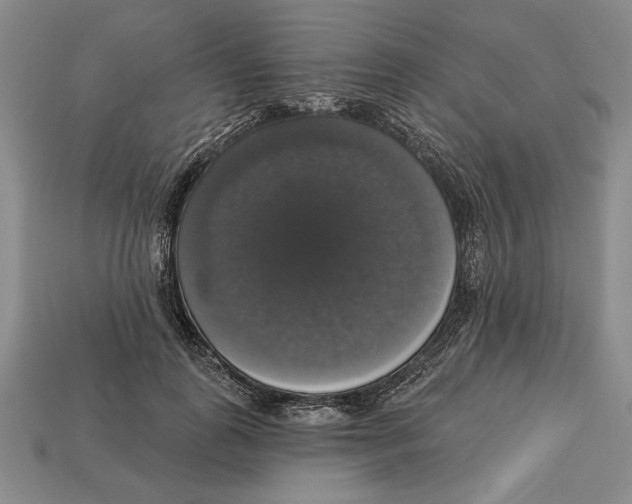X0000112910747200909211031