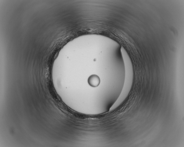 X0000112910748200909211031