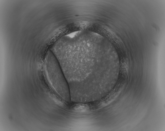 X0000112910750200909211031