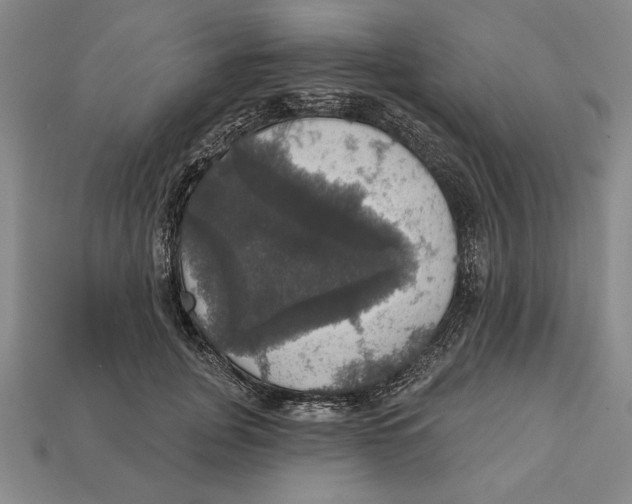 X0000112910751200909211031