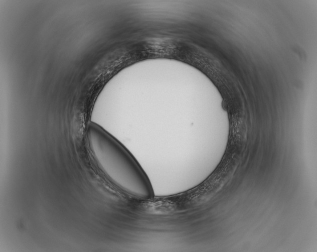 X0000112910752200909211031