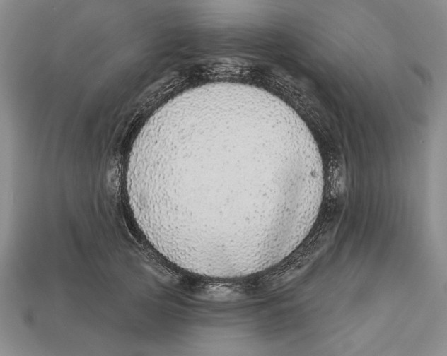 X0000112910753200909211031