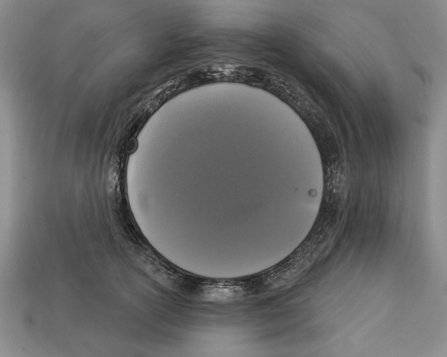X0000112910754200909211031
