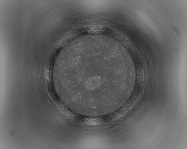 X0000112910755200909211031