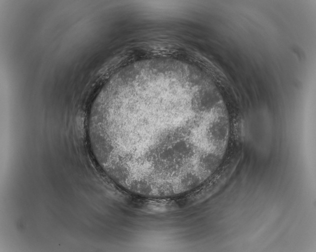 X0000112910757200909211031