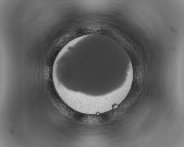 X0000112910758200909211031