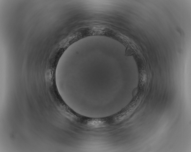 X0000112910759200909211031