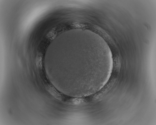X0000112910762200909211031