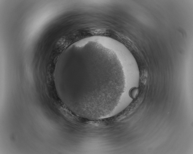 X0000112910763200909211031