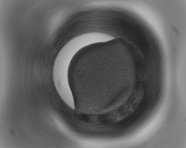 X0000112910766200909211031