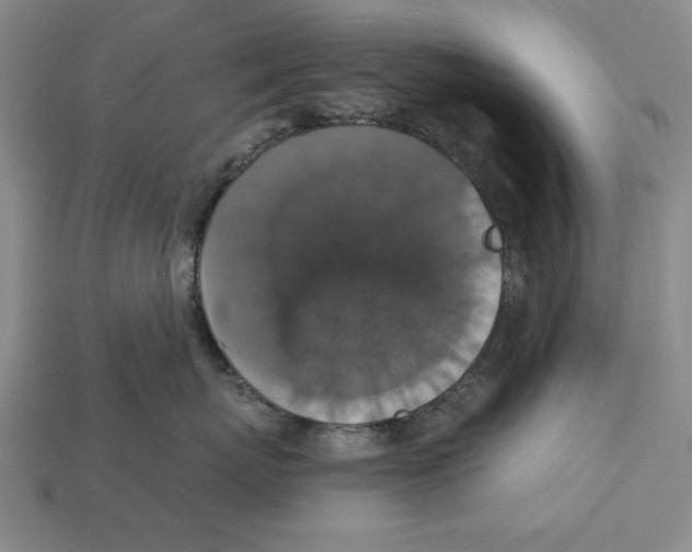 X0000112910767200909211031