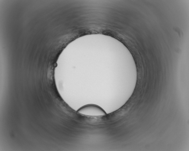 X0000112910768200909211031