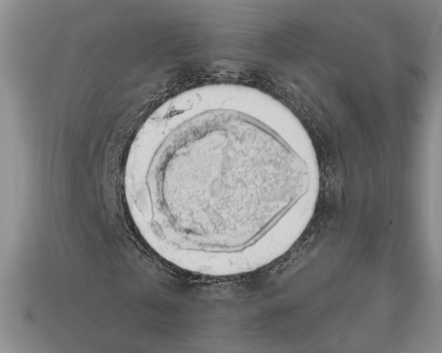 X0000112910769200909211030