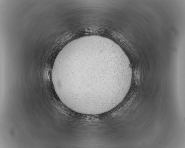 X0000112910770200909211030