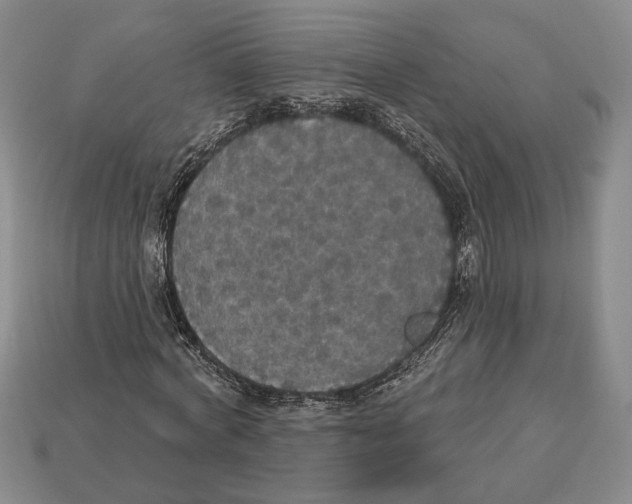 X0000112910772200909211030