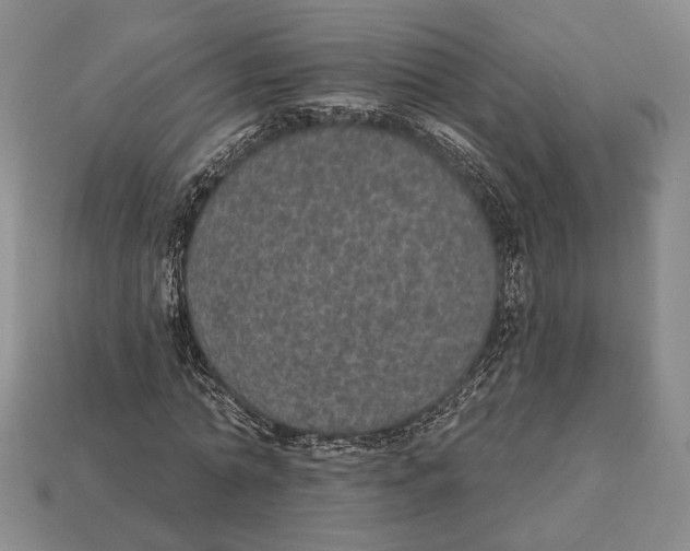X0000112910774200909211030