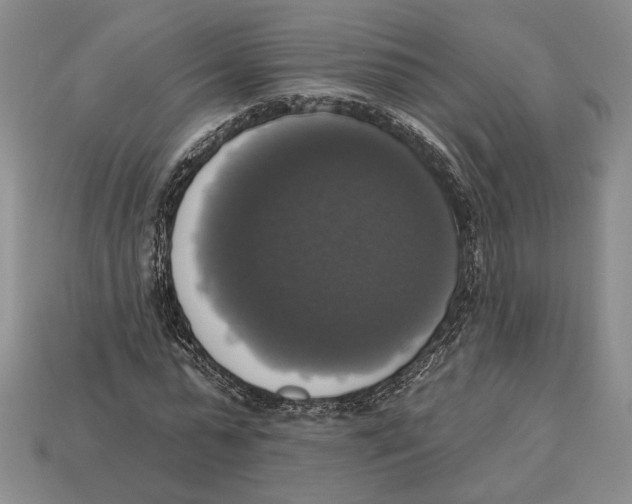 X0000112910775200909211030