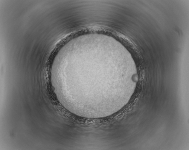 X0000112910776200909211030