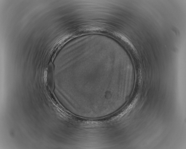 X0000112910777200909211030