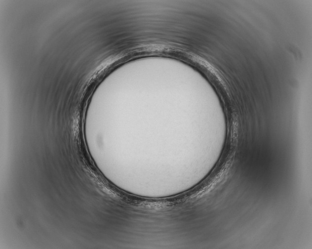 X0000112910778200909211030