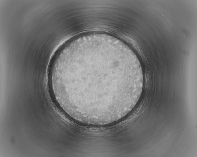 X0000112910780200909211030
