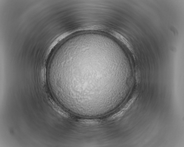 X0000112910781200909211030