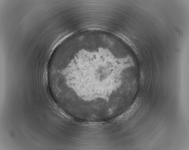 X0000112910782200909211030