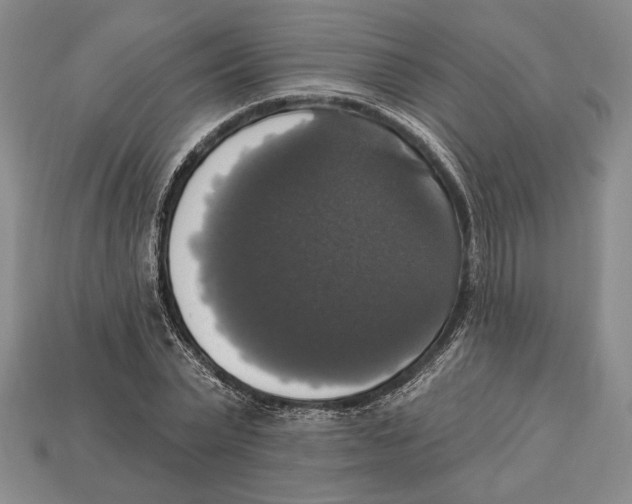 X0000112910783200909211030