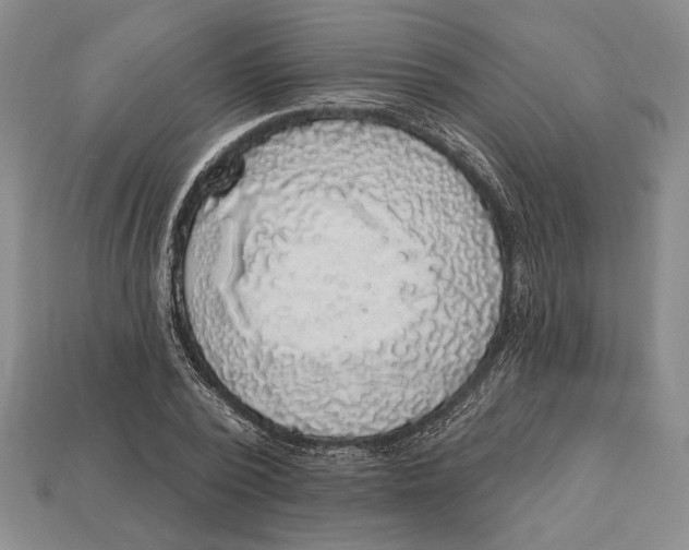 X0000112910784200909211030