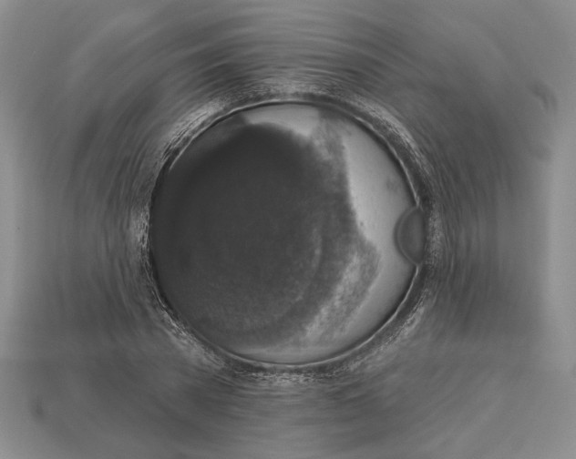 X0000112910785200909211030