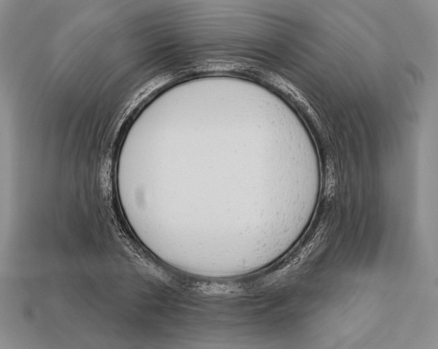X0000112910786200909211030
