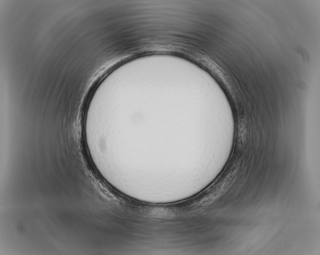 X0000112910787200909211030