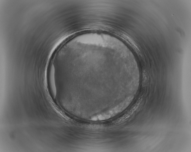 X0000112910788200909211030