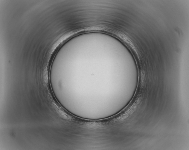 X0000112910789200909211030