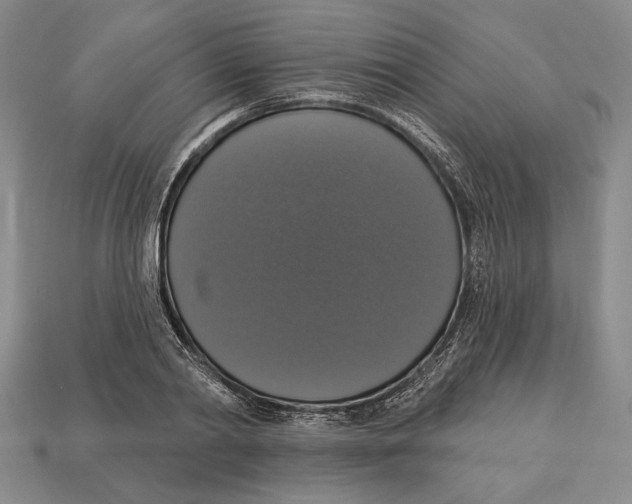X0000112910790200909211030