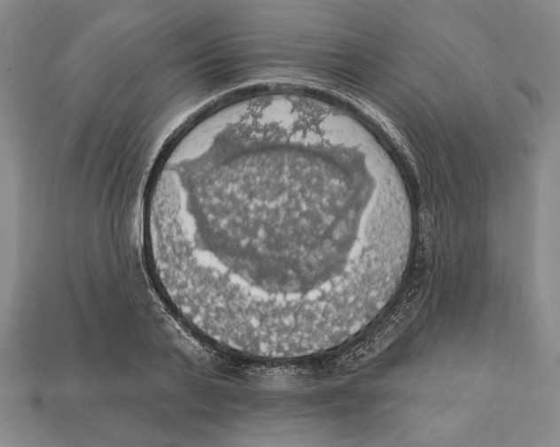 X0000112910791200909211030