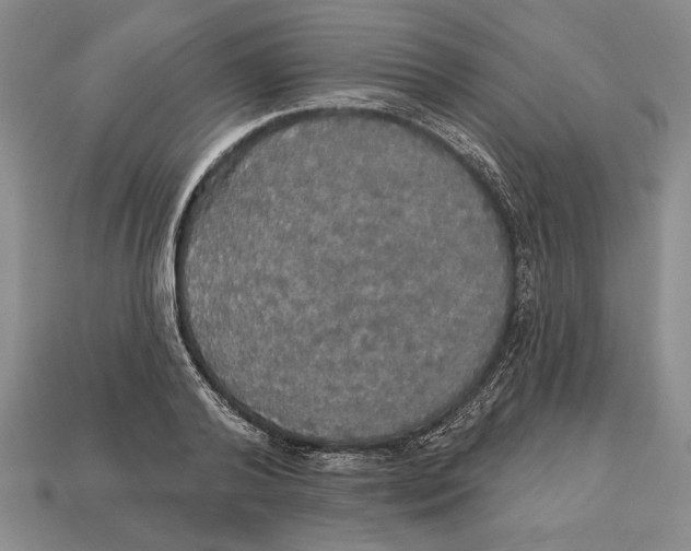 X0000112910792200909211030