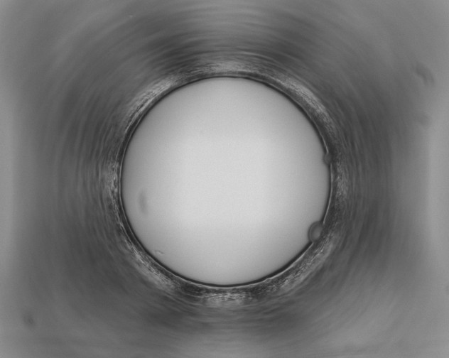 X0000112910793200909211030