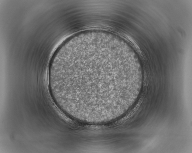 X0000112910796200909211030