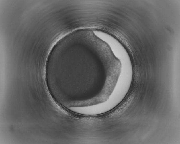 X0000112910797200909211030