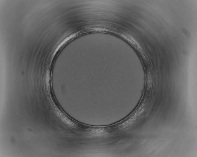 X0000112910798200909211030