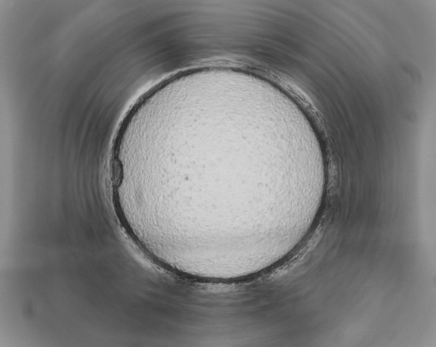 X0000112910800200909211030