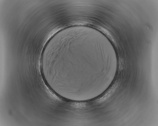 X0000112910802200909211030